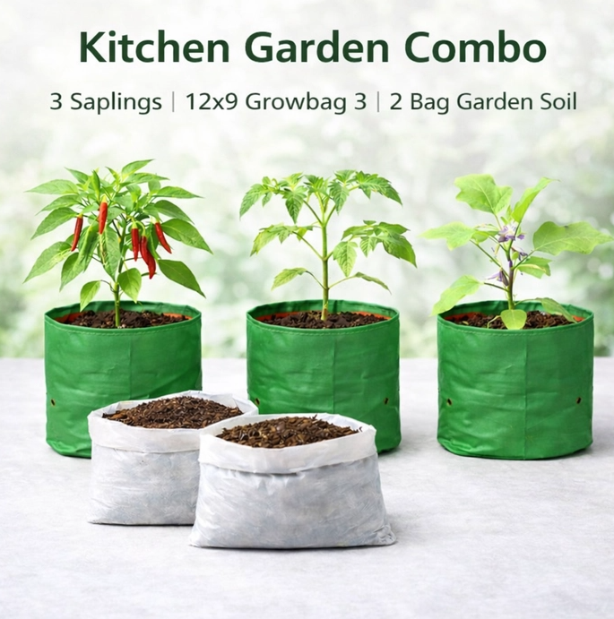 Kitchen Garden Combo – 3 Saplings, 3 12x9 Grow Bags & Garden Soil Mix